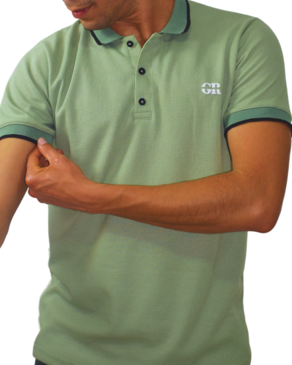 Camiseta Polo Classic Textured Pistacho